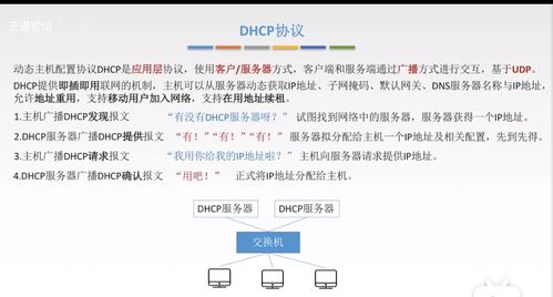 計算機(jī)網(wǎng)絡(luò)應(yīng)用層核心概念 從CS/P2P模型到Web與域名服務(wù)